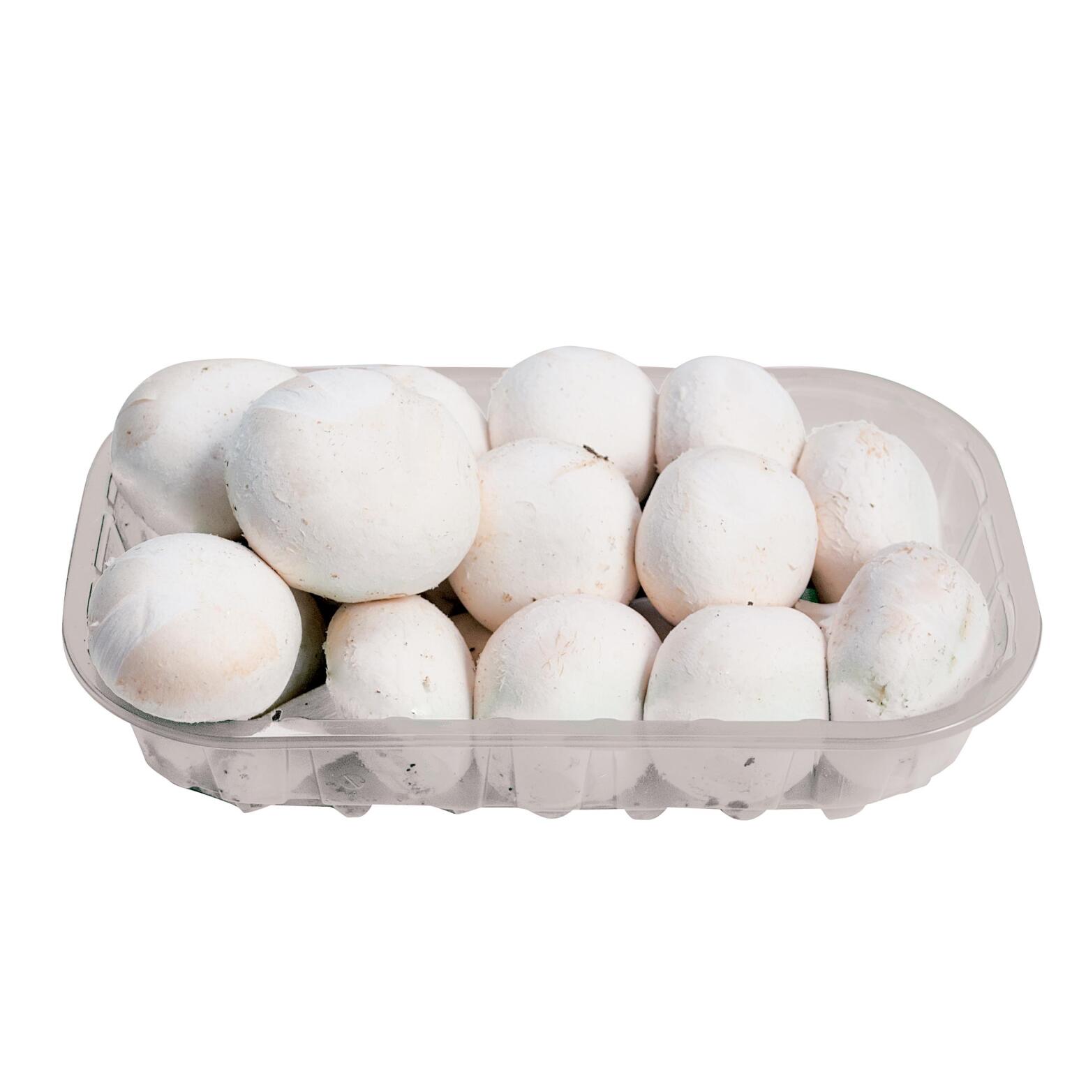 Funghi champignon bianchi interi 500g