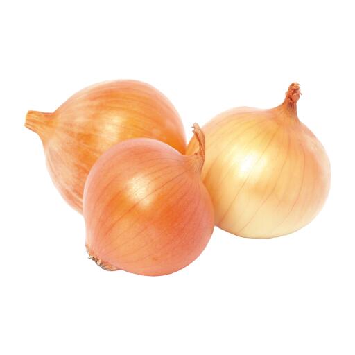 Cipolle dorate rete 1kg