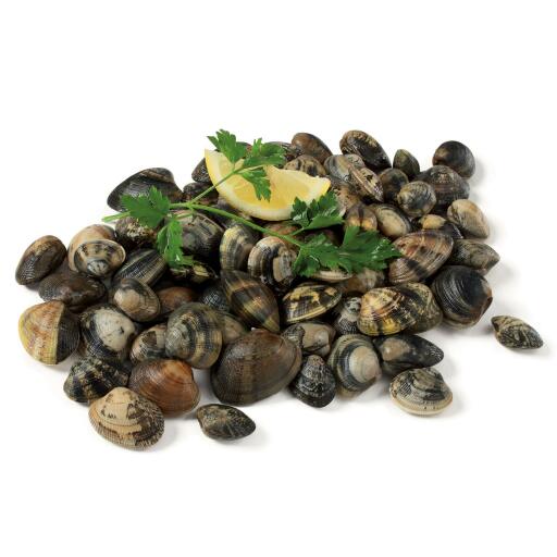 Vongole veraci in rete kg.5