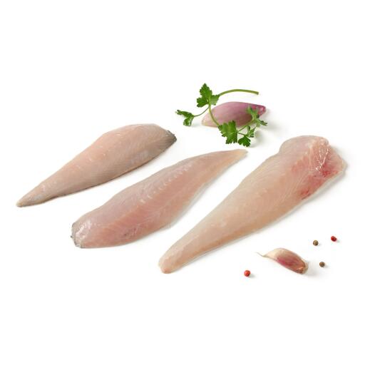 Filetti di gallinella freschi