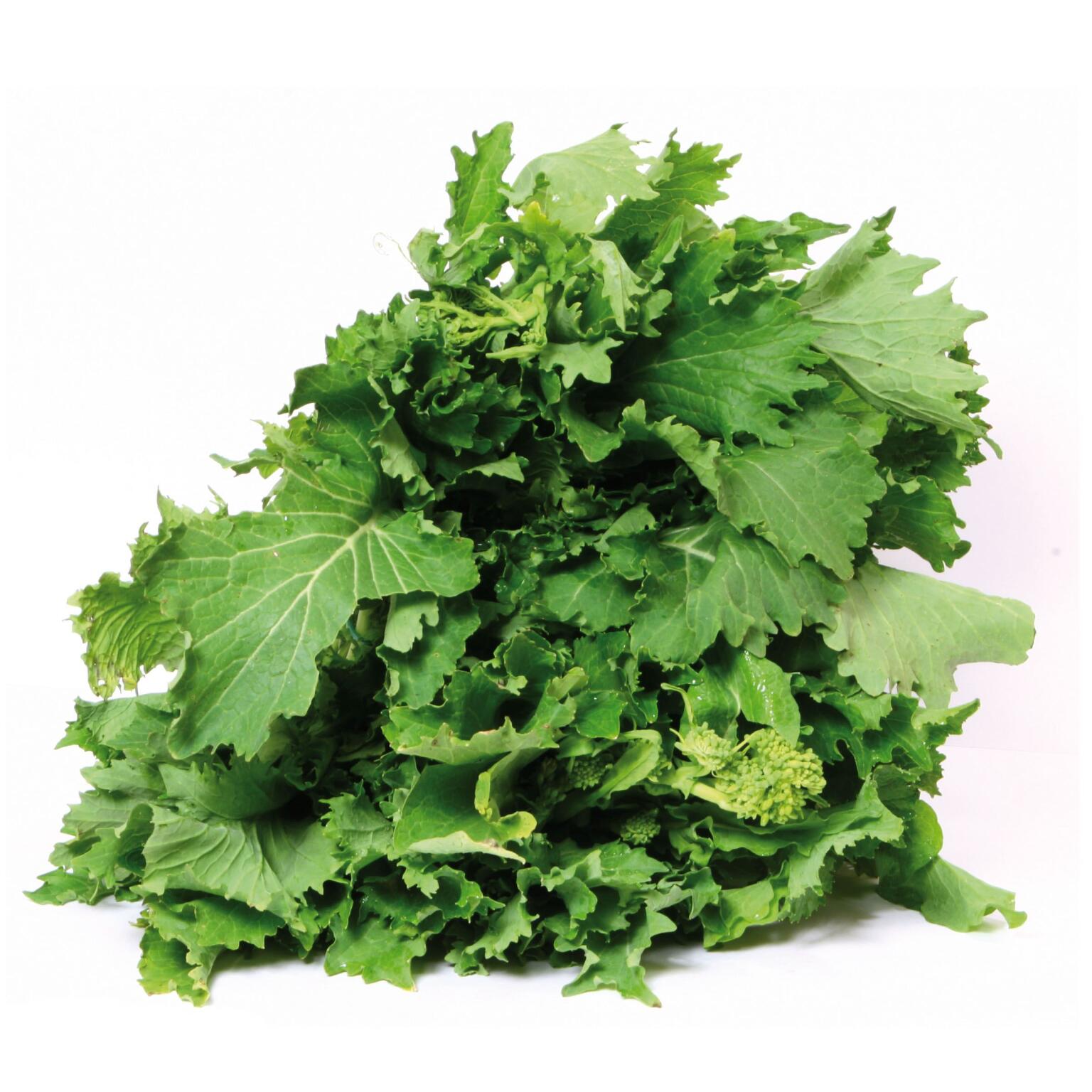 Cima di Rapa prov. Italia