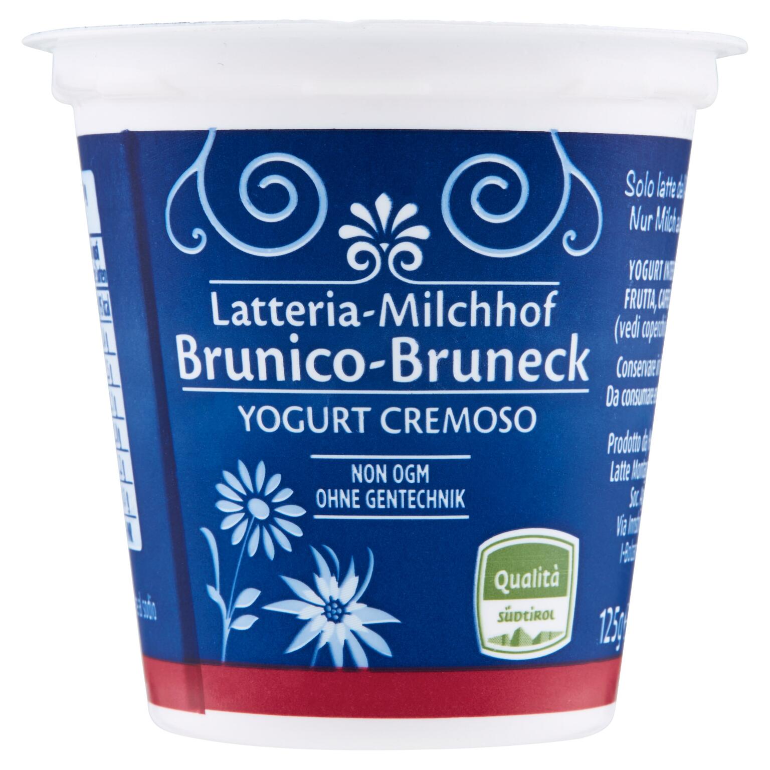 Yogurt Intero Frutta Assortita 125g Latteria Brunico
