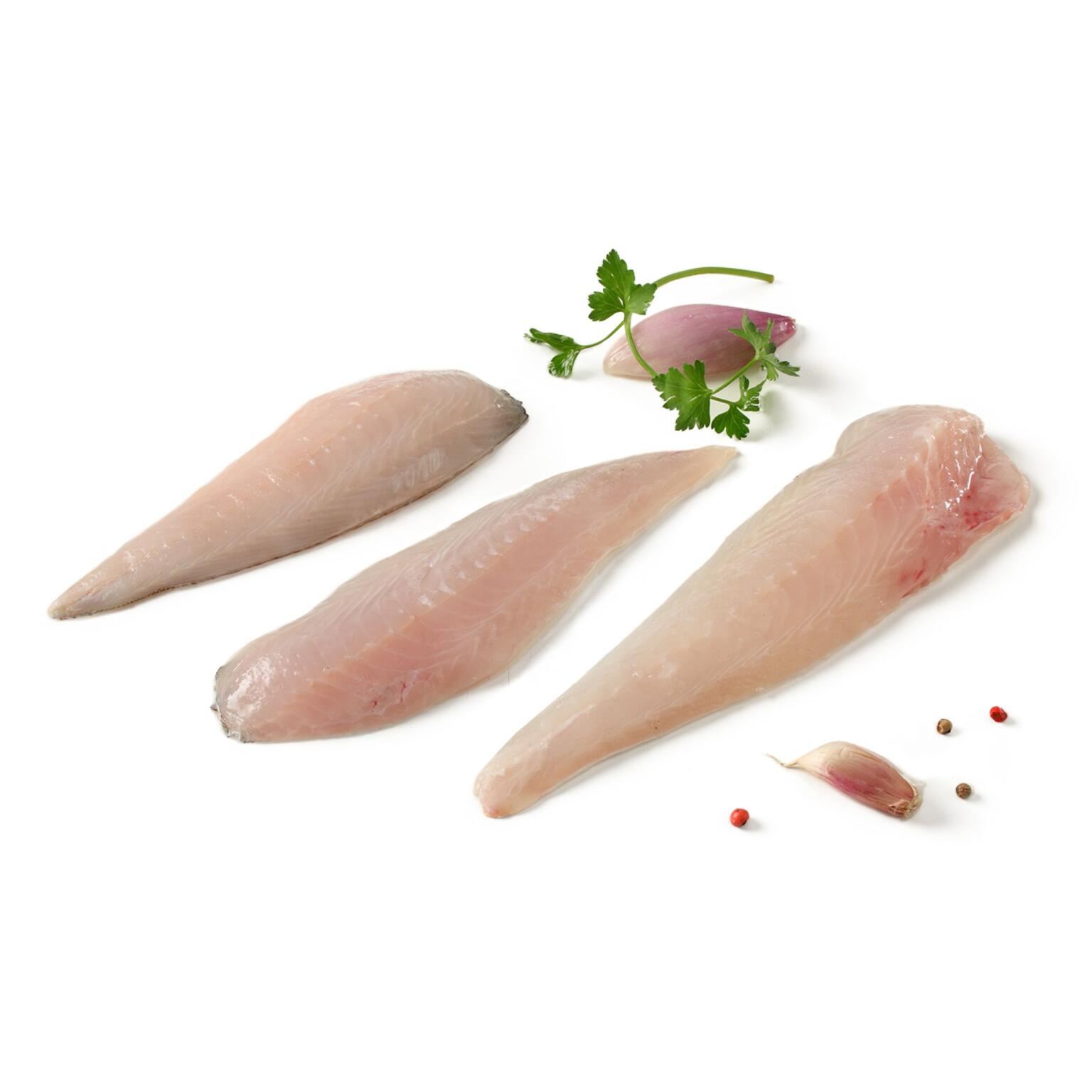 Filetti di gallinella freschi