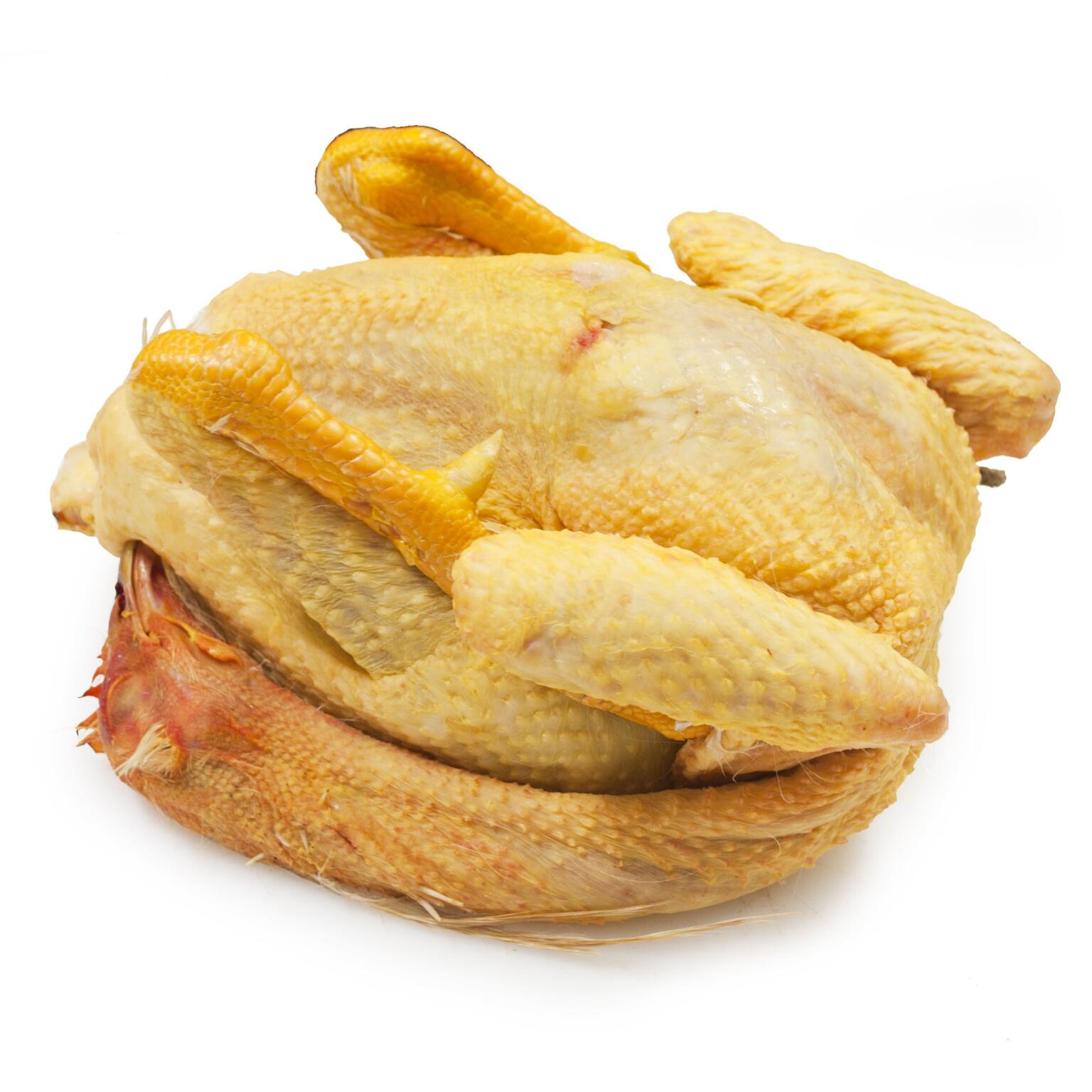 Cappone Tradizionale con testa e zampe