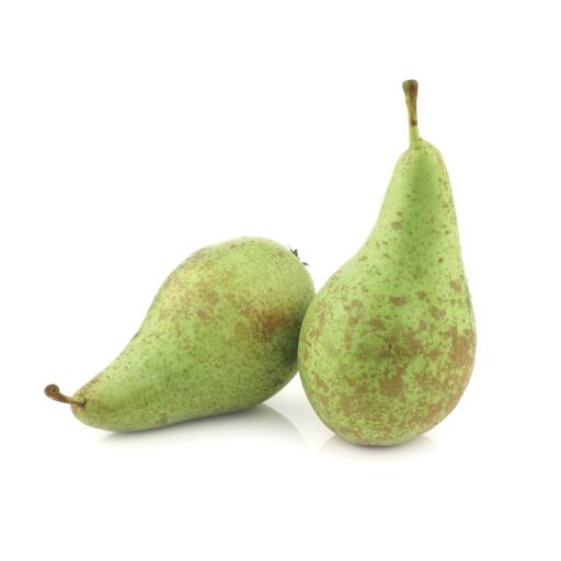 Pere Conference confezionate