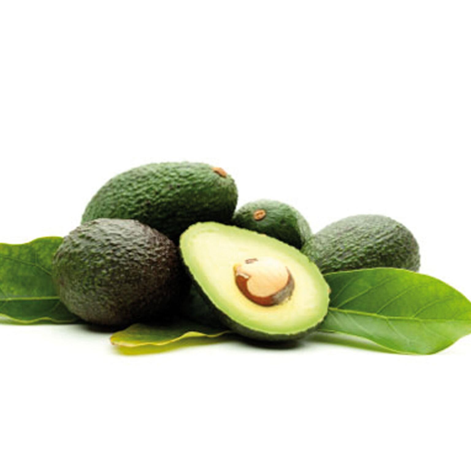Avocado