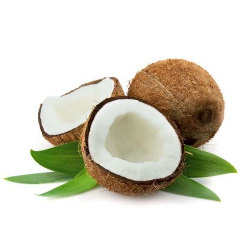 Noci di cocco
