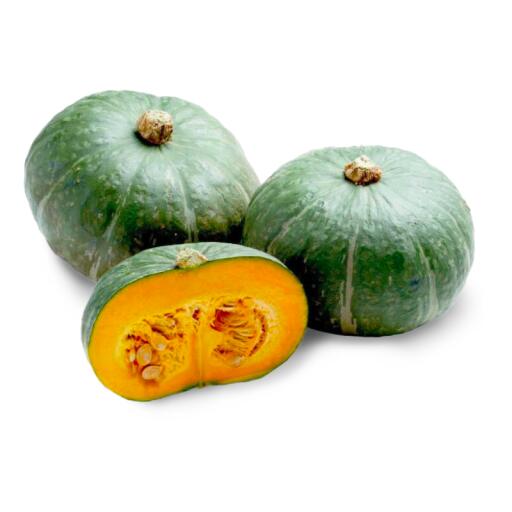 Zucca Delica