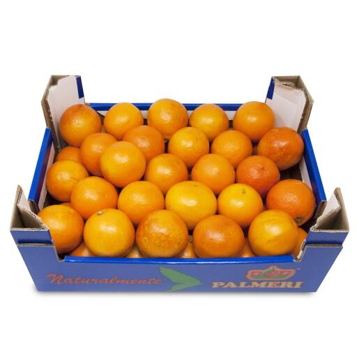 Arance Tarocco ippolito a cassa
