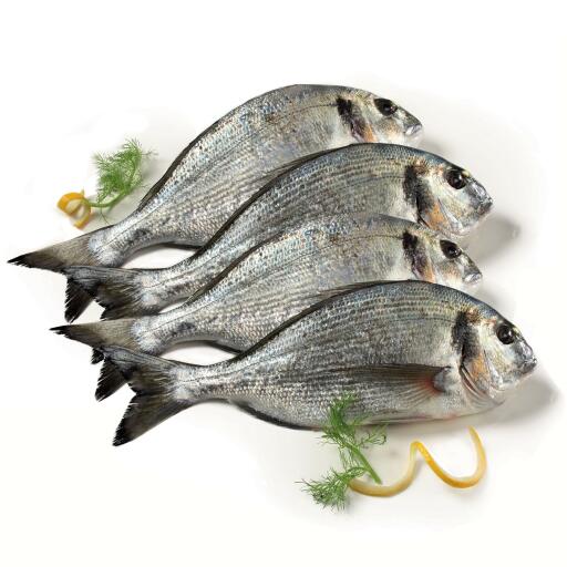 Orata 200/300g fresca allevato Grecia confezione da 4 pezzi