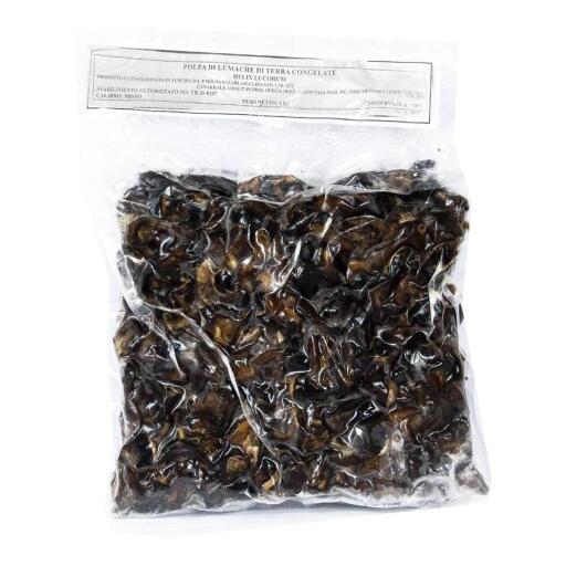 Polpa di lumache di terra