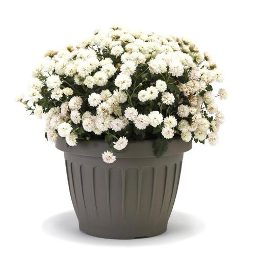 Vaso terra color cappuccino 40cm