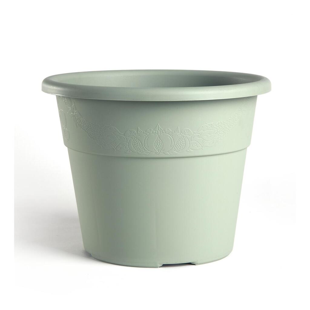 Vaso Hedera salvia 20cm