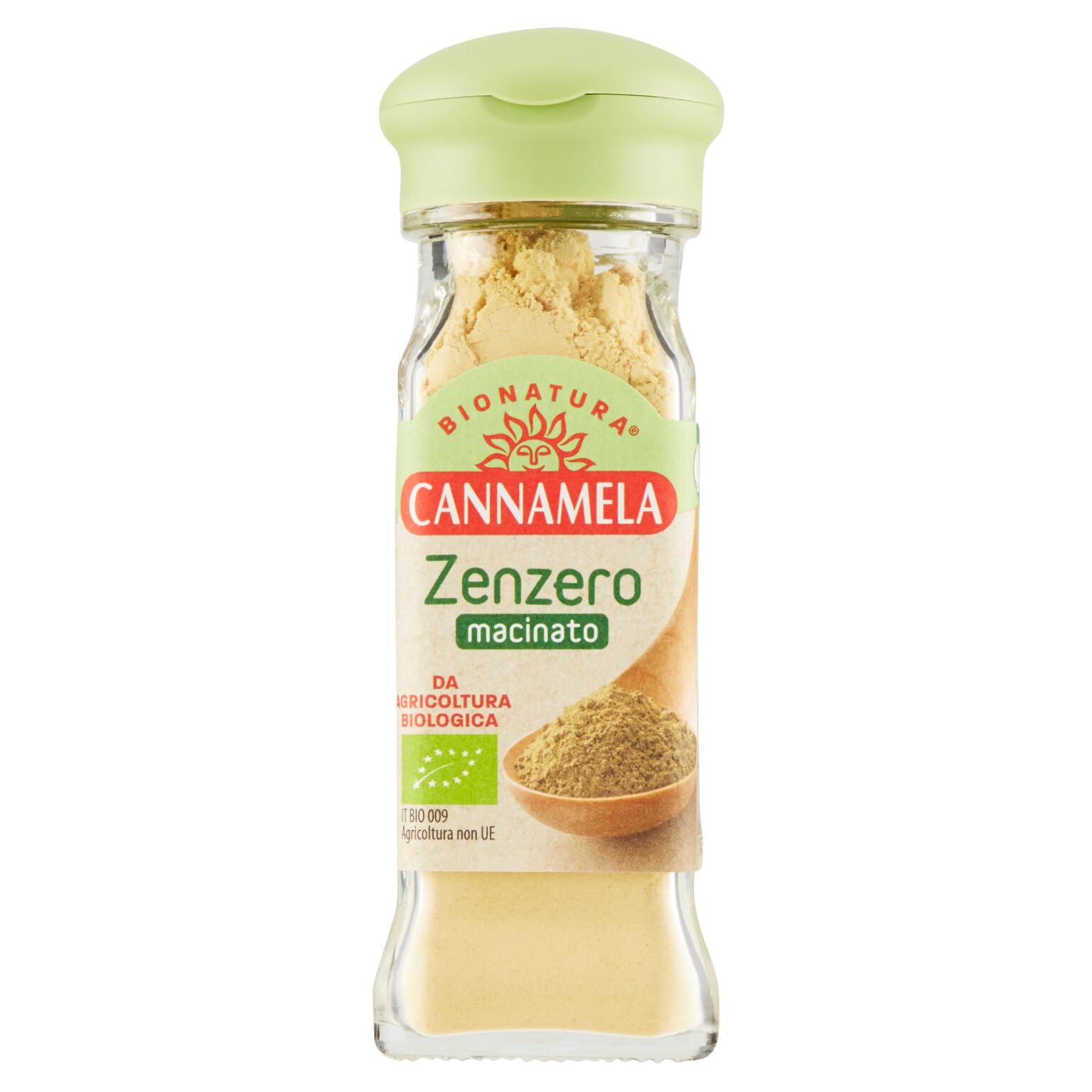 Zenzero Bionatura 41g Cannamela