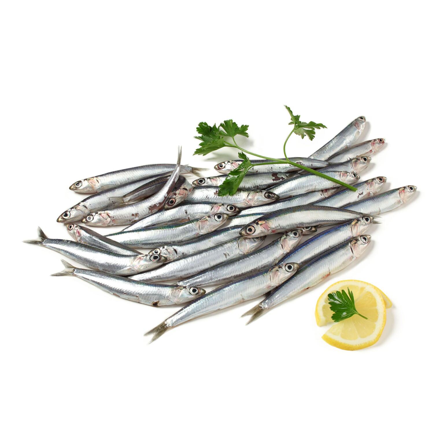Alici di lampara fresche