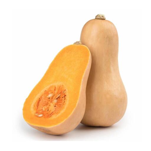 Zucca Butternut