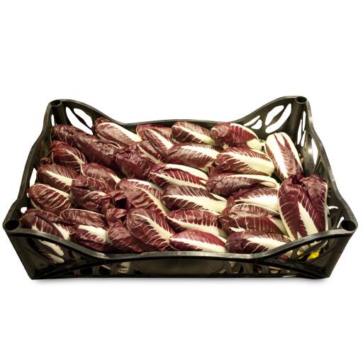 Radicchio lungo rosso a cassa