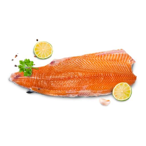 Baffa di Salmone fresco norvegese