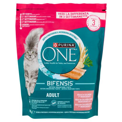 Purina one cat salmone e riso 800g
