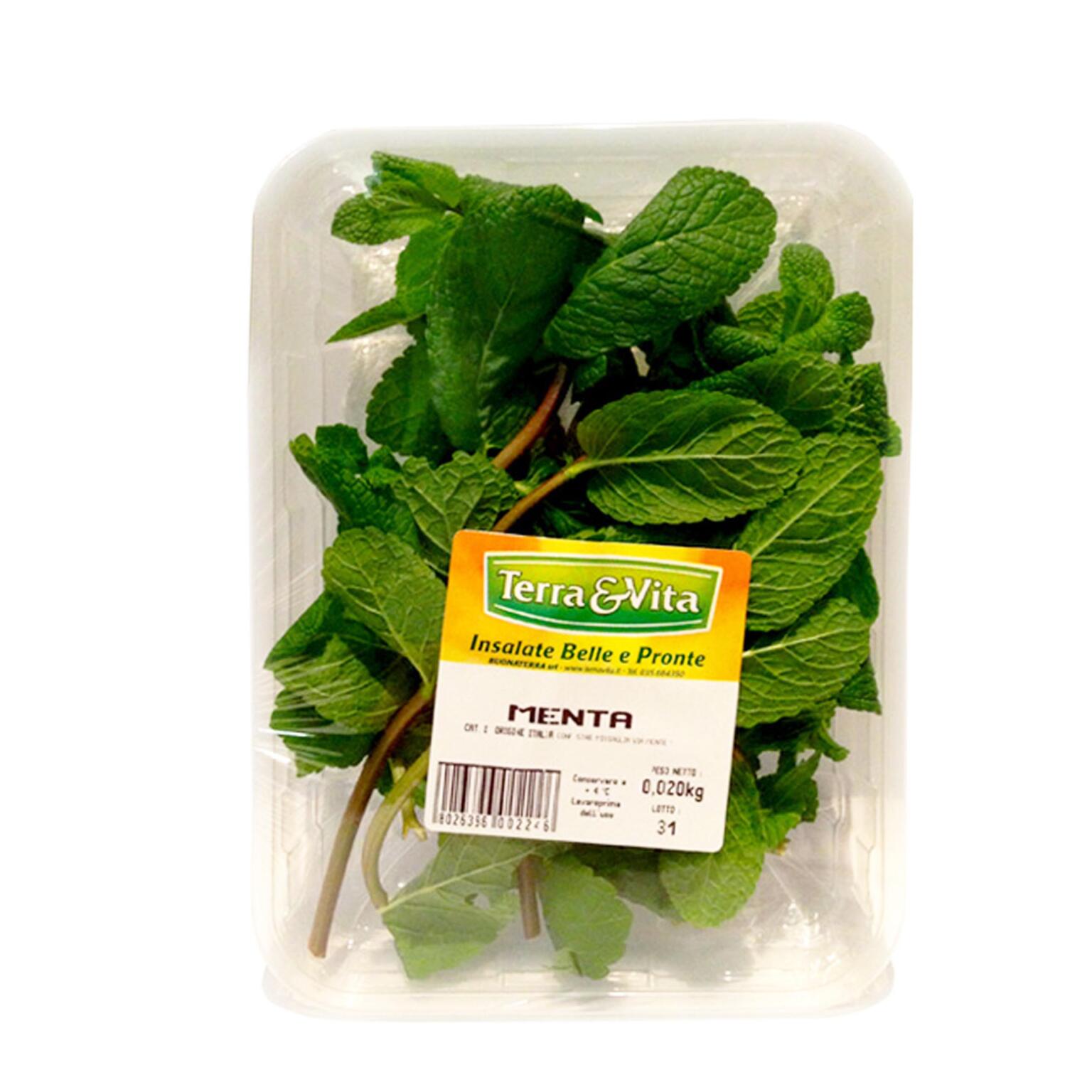 Menta 20g Terra&Vita