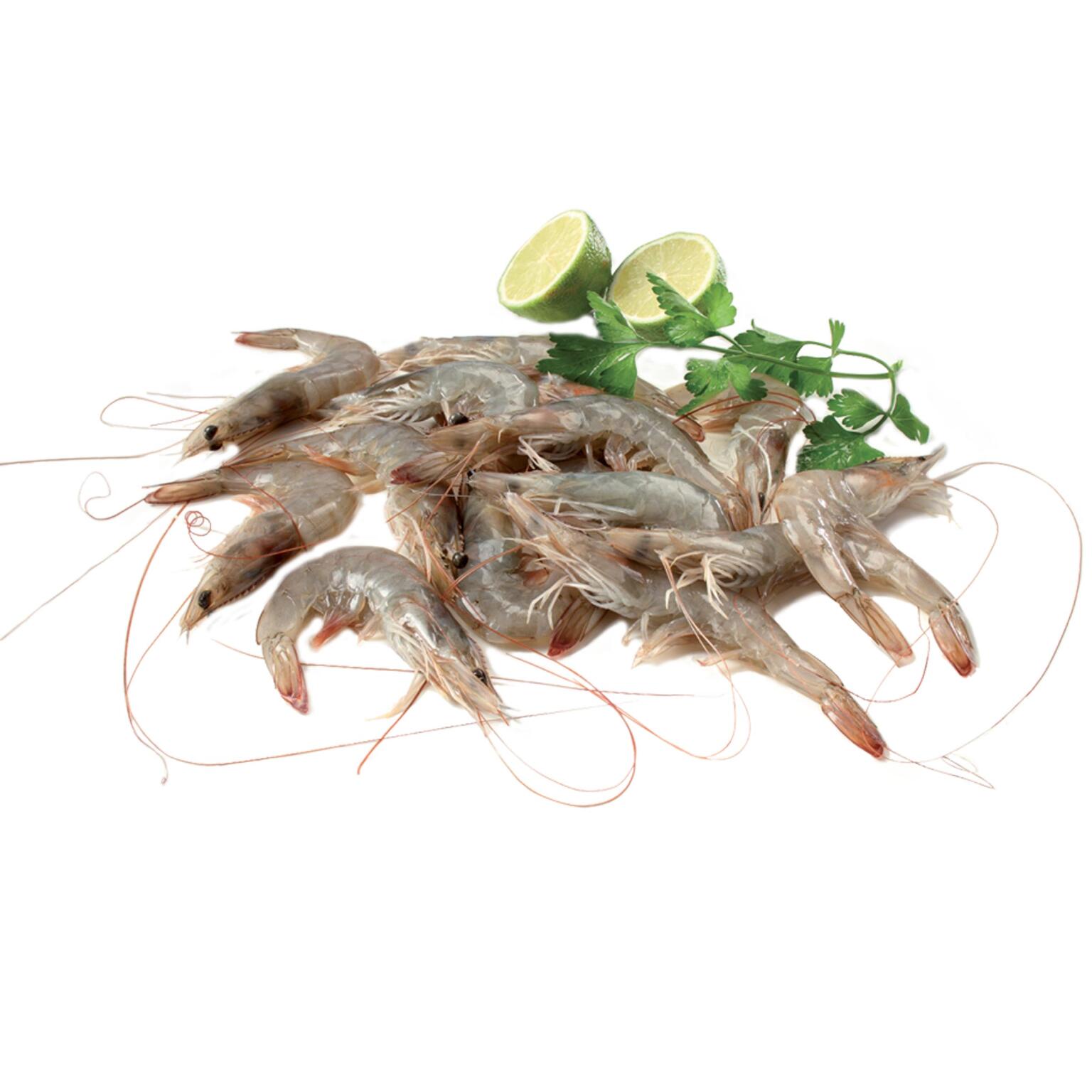 Mazzancolle tropicali congelate 40/50 confezione  kg.2