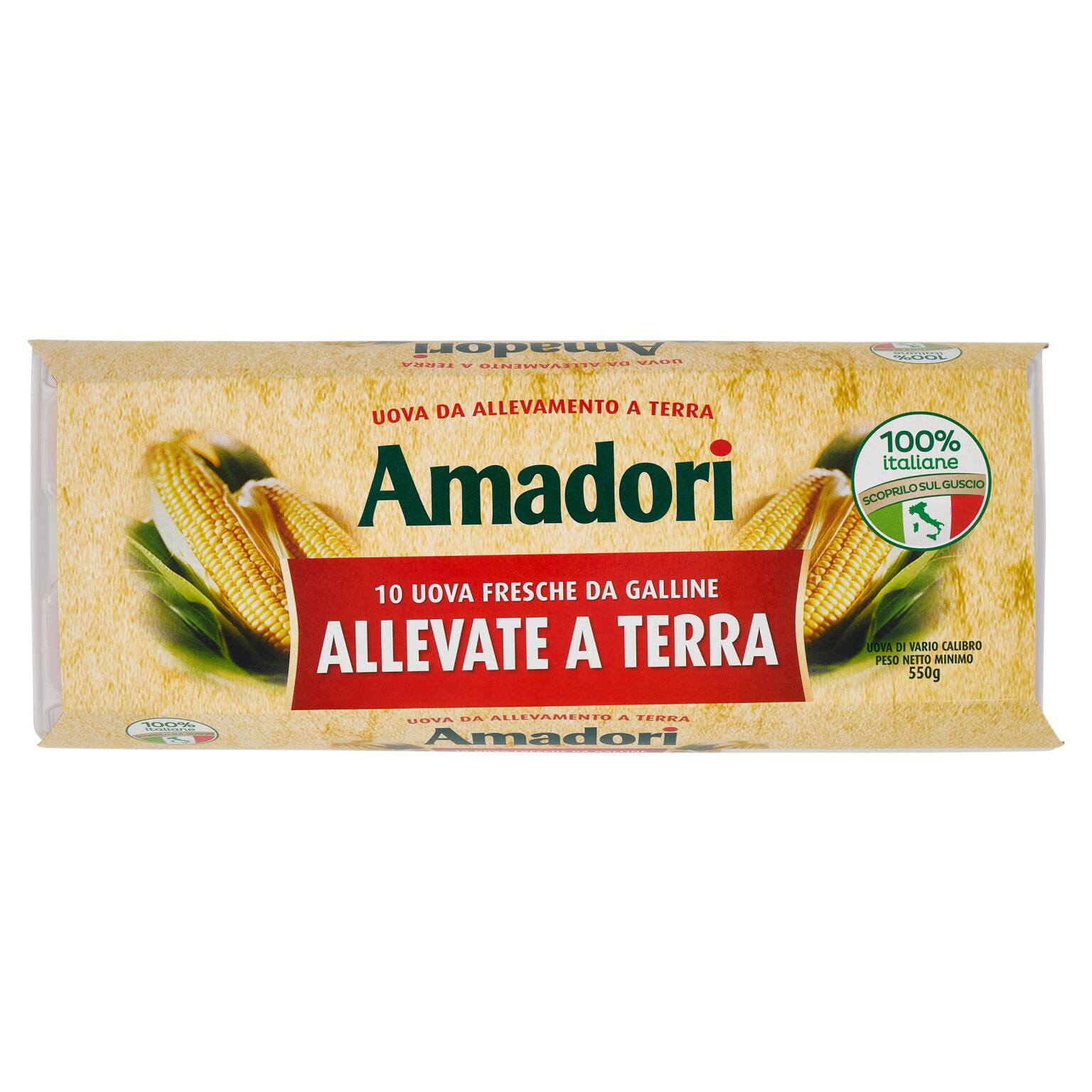 Uova da allevamento a terra confezione x 10