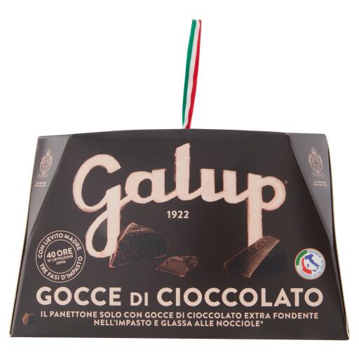 Panettone Gocce di Cioccolato 750g Galup