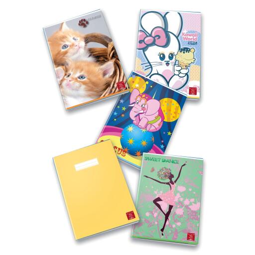 Quaderno maxi bambini quadretti grandi 10MM 40fogli 80g 5 pezzi Pigna colori assortiti