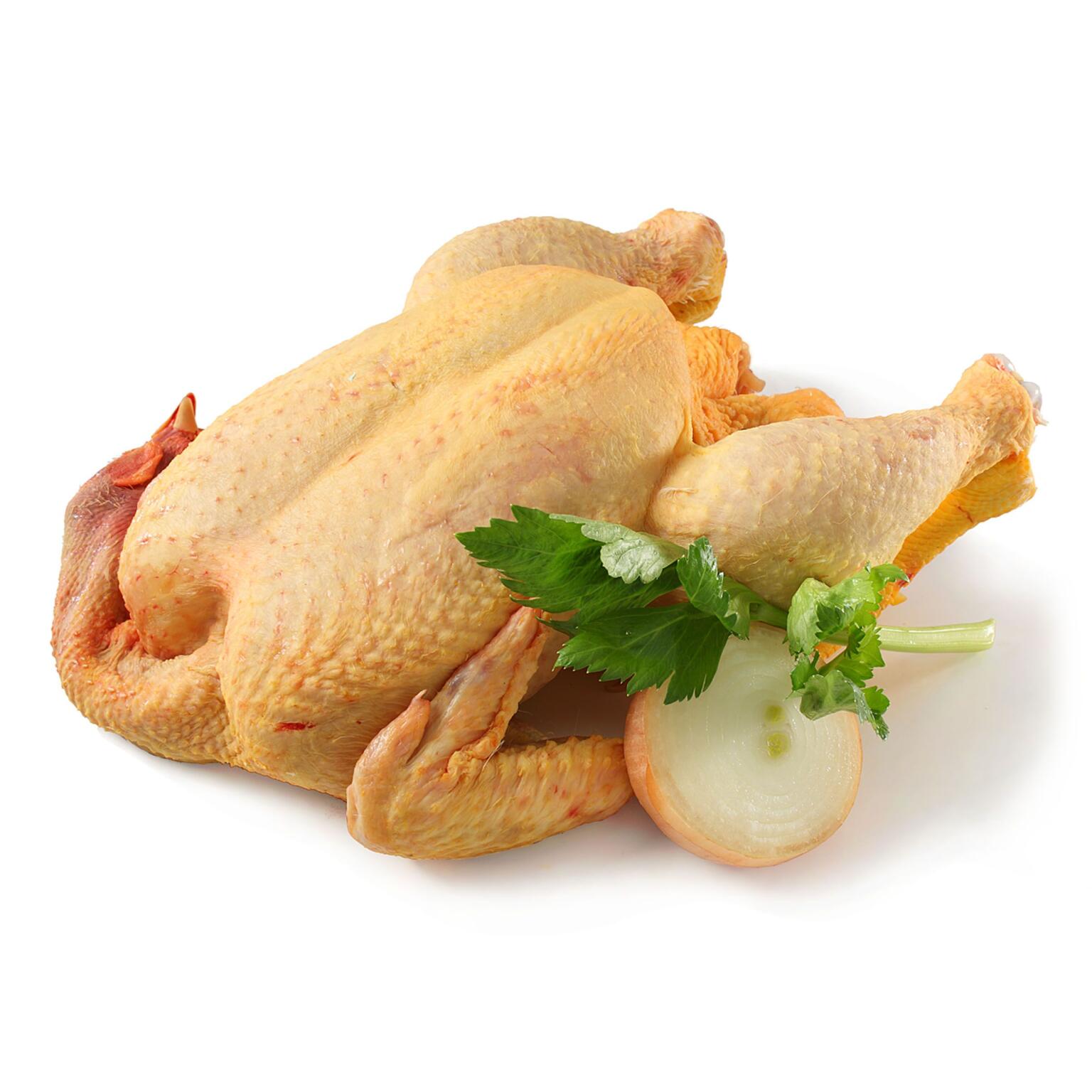 Pollo campagna testa e zampe tradizionale