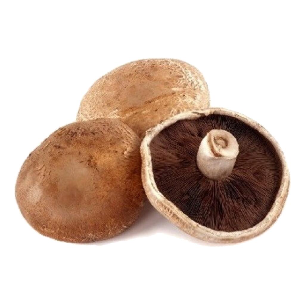 Funghi Crema Portobello 300g
