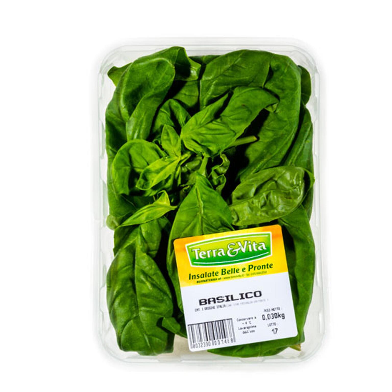 Basilico 30g Terra&Vita