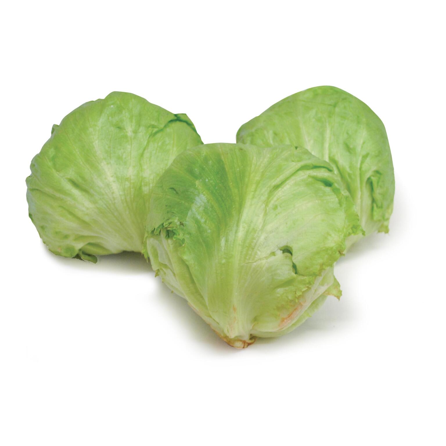 Insalata Iceberg a cassa