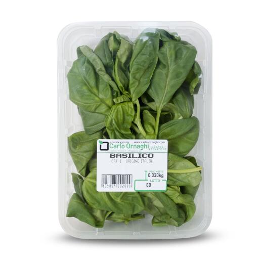 Basilico vassoio 30g Ornaghi