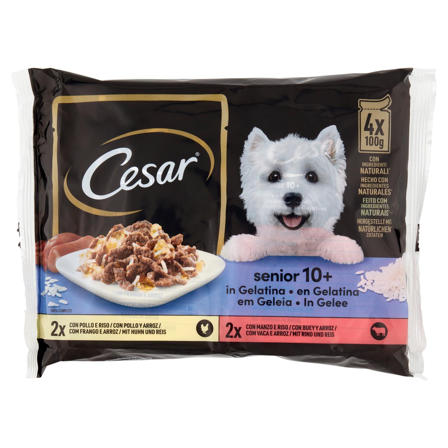 Delizie del giorno senior 10+ 100g Cesar
