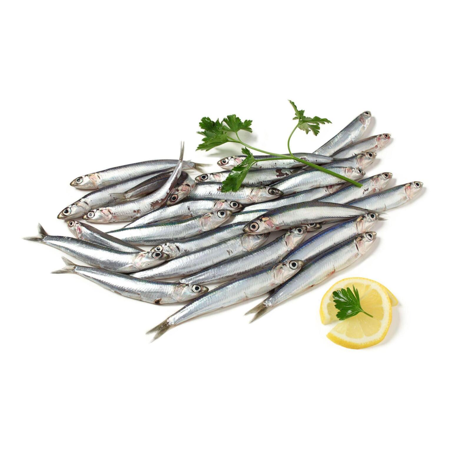 Alici di lampara fresche