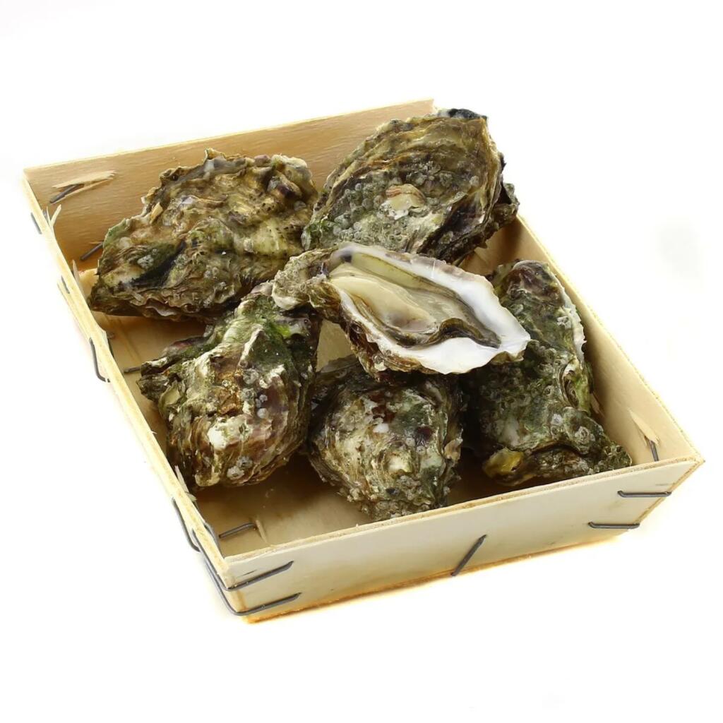 Ostriche a Cassa Kg.1