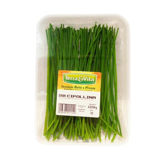Erba cipollina 20g Terra&Vita