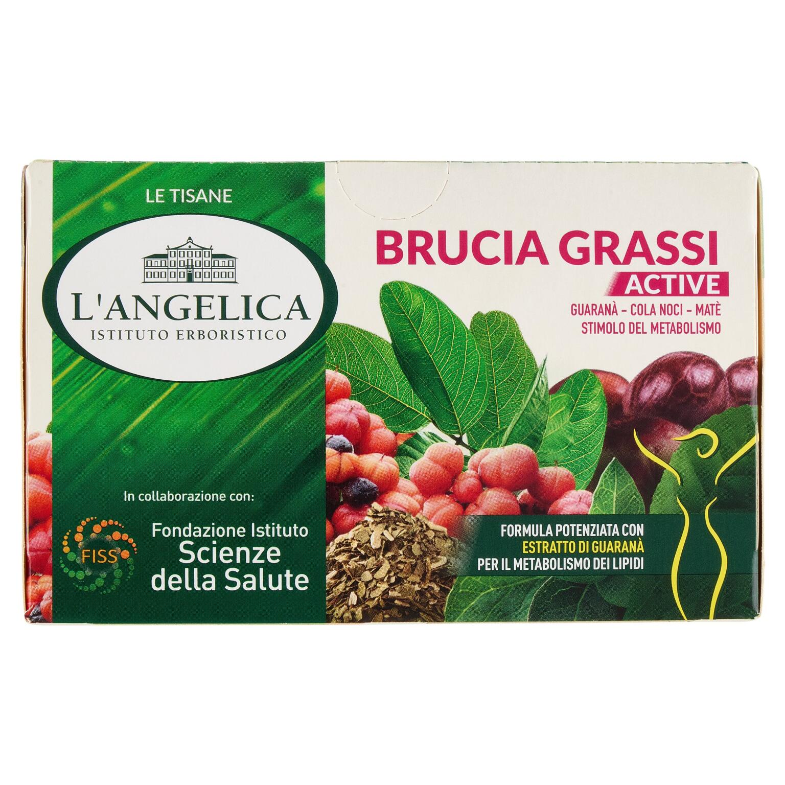 Tisana brucia grassi da 15 filtri L'angelica