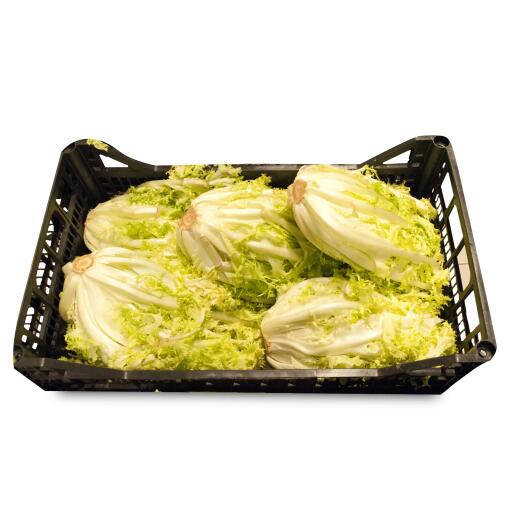 Insalata Scarola a cassa