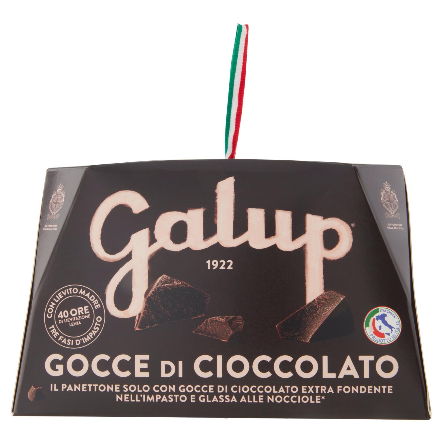 Panettone Gocce di Cioccolato 750g Galup
