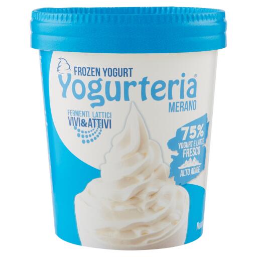 Frozen yogurt naturale 250g Yogurteria senza lattosio