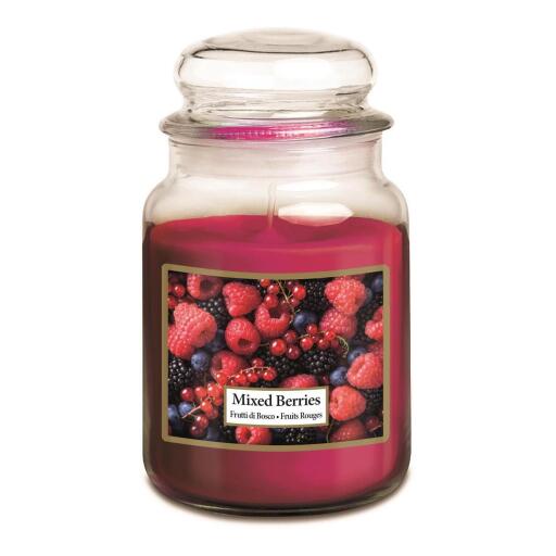 Zuccheriera grande 100 ore frutti di bosco