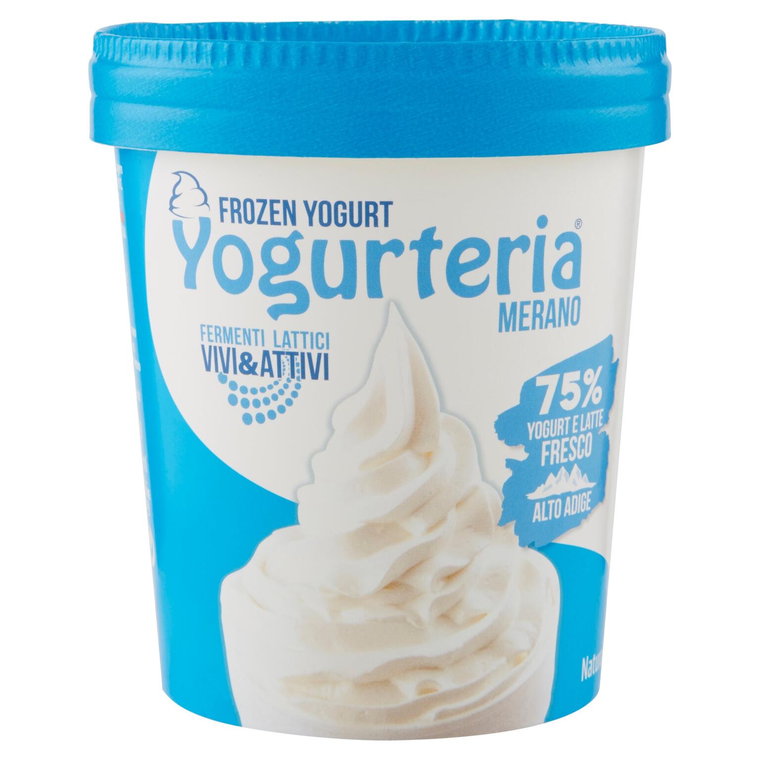 Frozen yogurt naturale 250g Yogurteria senza lattosio