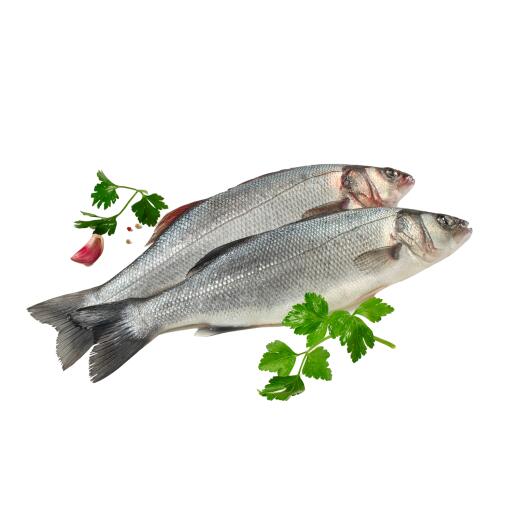 Branzino 200/300 allevato a CASSA