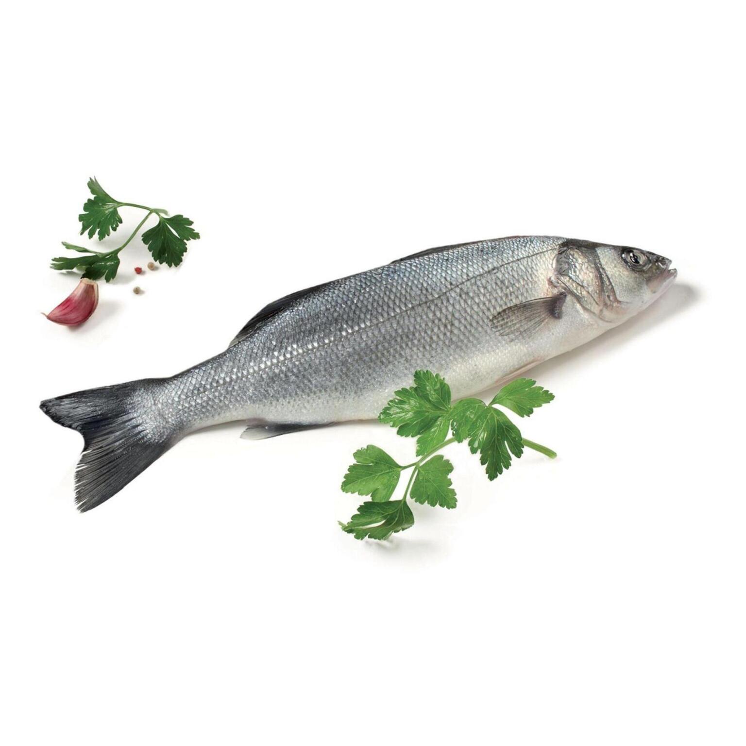 Branzino 800/1000 a CASSA