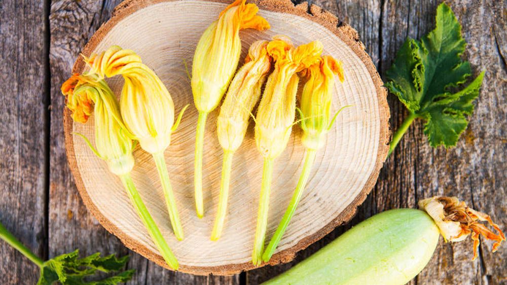 Linguine con fiori di zucca