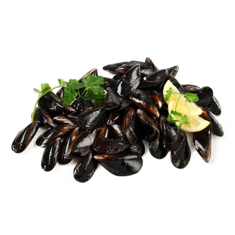 Cozze fresche