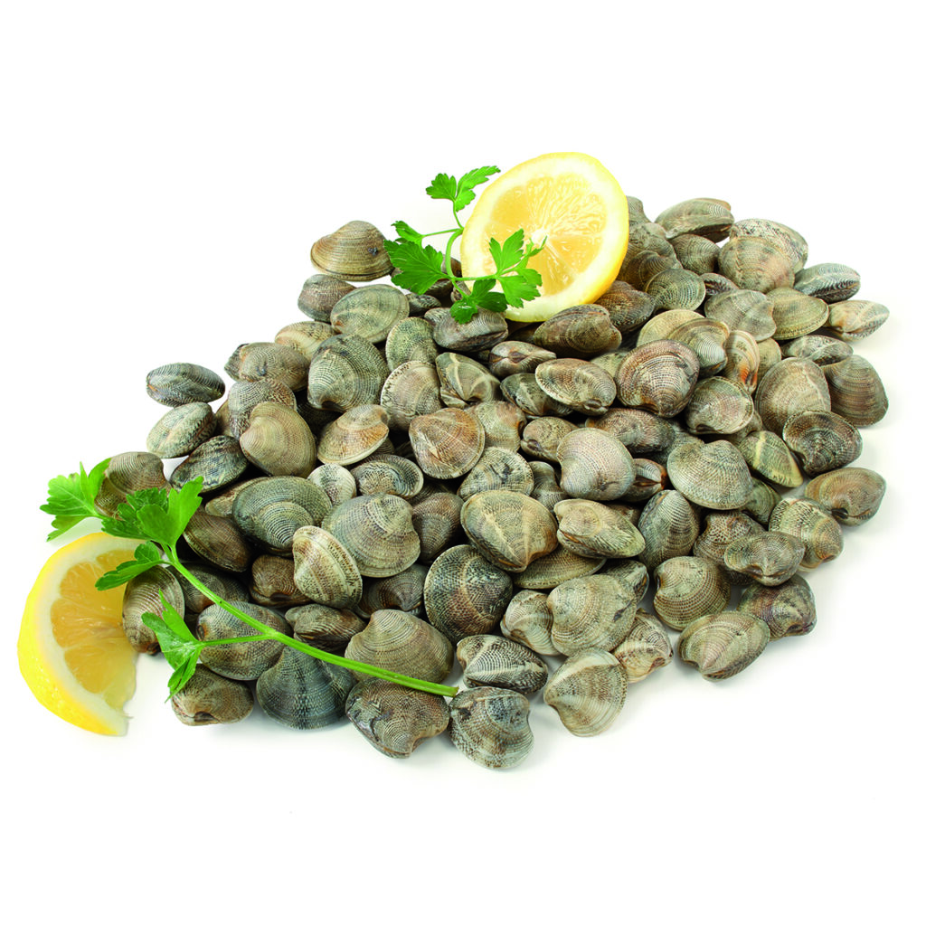 Vongole Lupini pescati - Mar Adriatico