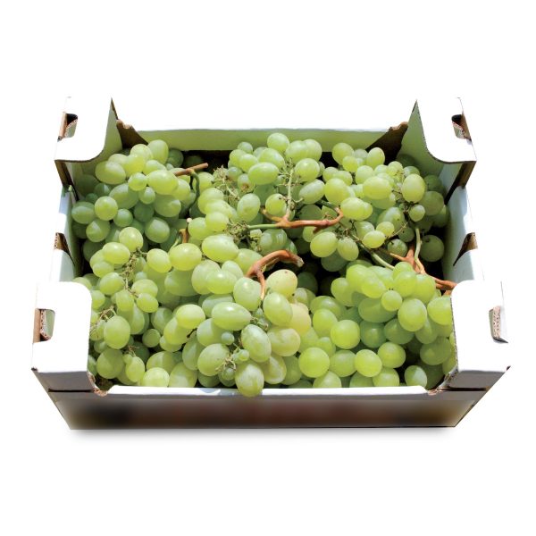 Uva Vittoria a cassa