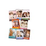 Maxi quaderno 1r dolci cuccioli g80
